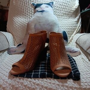 Vince camuto shoes